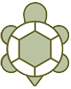 tortoise tortoise